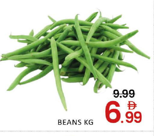 Mango available at مانجو هايبرماركت in الإمارات العربية المتحدة , الامارات - دبي