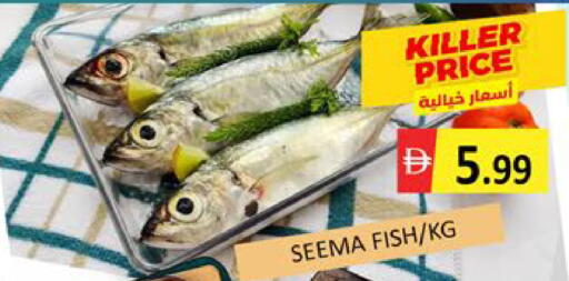 Mango available at مانجو هايبرماركت in الإمارات العربية المتحدة , الامارات - دبي