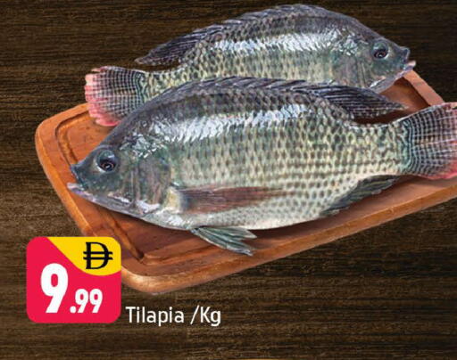 available at Shaklan  in UAE - Dubai