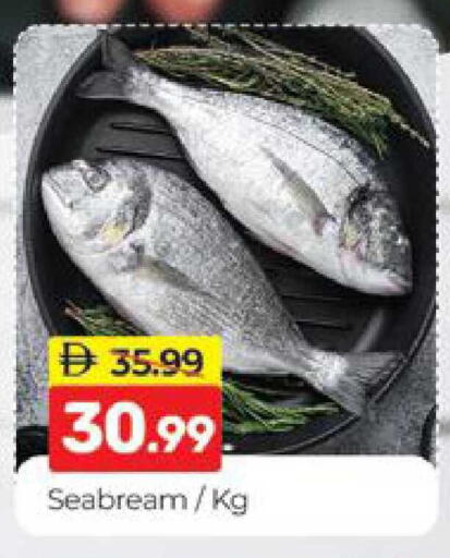 available at المدينة in الإمارات العربية المتحدة , الامارات - دبي