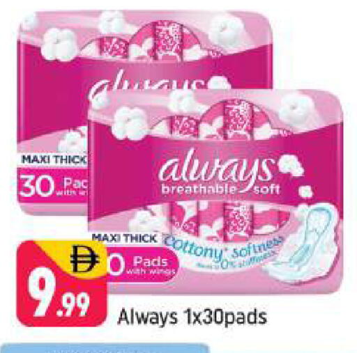 available at شكلان ماركت in الإمارات العربية المتحدة , الامارات - دبي