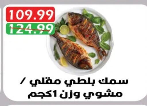 available at يورومارشيه in Egypt - القاهرة