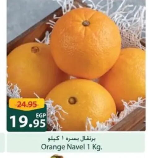 Orange available at سبينس in Egypt - القاهرة