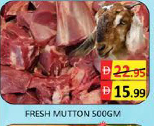 Mango available at مانجو هايبرماركت in الإمارات العربية المتحدة , الامارات - دبي