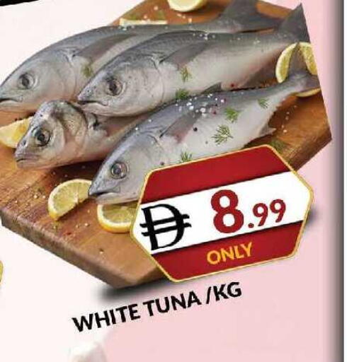 available at المدينة in الإمارات العربية المتحدة , الامارات - دبي