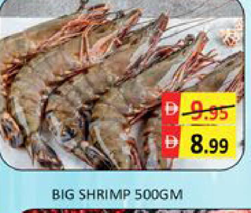 Mango available at مانجو هايبرماركت in الإمارات العربية المتحدة , الامارات - دبي