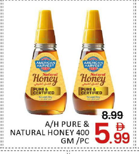 Mango available at مانجو هايبرماركت in الإمارات العربية المتحدة , الامارات - دبي