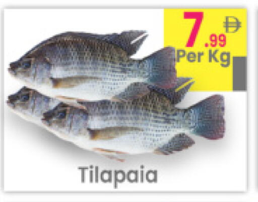 available at مركز كل يوم in الإمارات العربية المتحدة , الامارات - رَأْس ٱلْخَيْمَة