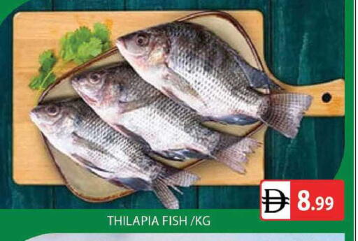 available at المدينة in الإمارات العربية المتحدة , الامارات - دبي