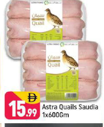 available at شكلان ماركت in الإمارات العربية المتحدة , الامارات - دبي