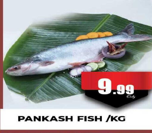 available at المدينة in الإمارات العربية المتحدة , الامارات - دبي