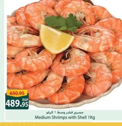 available at سبينس in Egypt - القاهرة