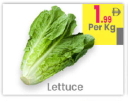 Lettuce available at مركز كل يوم in الإمارات العربية المتحدة , الامارات - رَأْس ٱلْخَيْمَة
