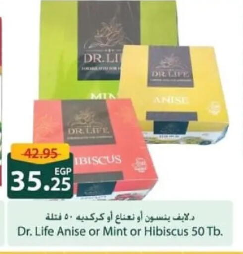 Anise Mint available at سبينس in Egypt - القاهرة
