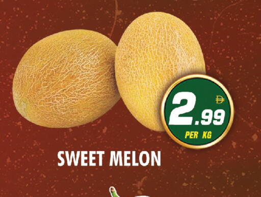 Melon available at نايت تو نايت in الإمارات العربية المتحدة , الامارات - دبي