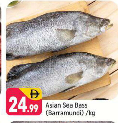 available at Shaklan  in UAE - Dubai