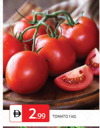 Tomato available at سوق طلال in الإمارات العربية المتحدة , الامارات - دبي