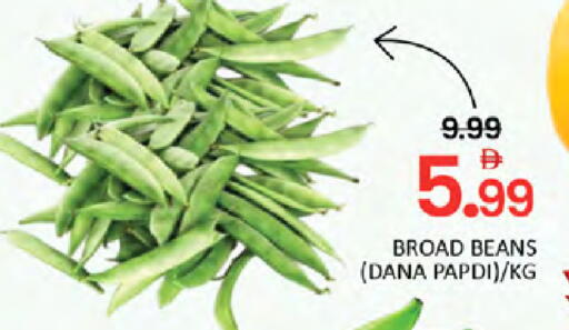 available at المدينة in الإمارات العربية المتحدة , الامارات - دبي