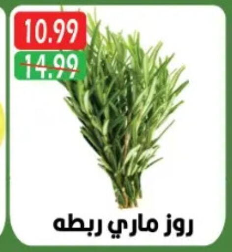 available at يورومارشيه in Egypt - القاهرة