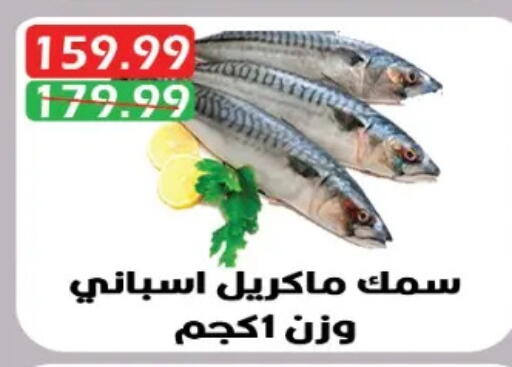 available at يورومارشيه in Egypt - القاهرة