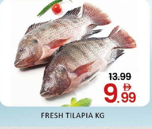 Mango available at مانجو هايبرماركت in الإمارات العربية المتحدة , الامارات - دبي