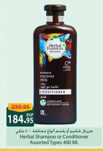 Coconut available at سبينس in Egypt - القاهرة