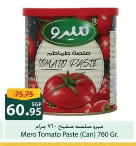 Tomato available at سبينس in Egypt - القاهرة