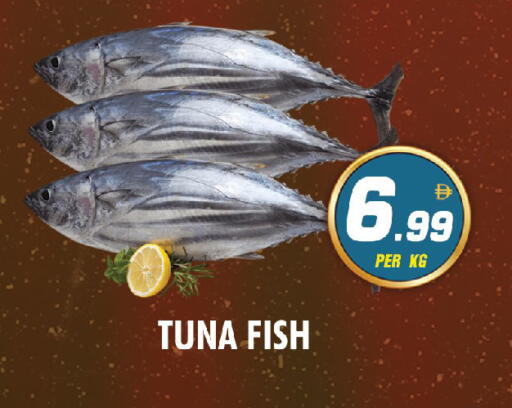 available at نايت تو نايت in الإمارات العربية المتحدة , الامارات - دبي