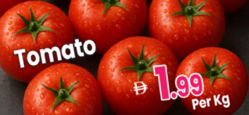 Tomato available at مركز كل يوم in الإمارات العربية المتحدة , الامارات - رَأْس ٱلْخَيْمَة