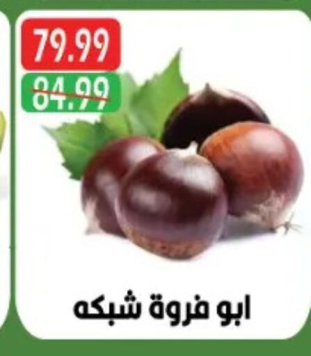 available at يورومارشيه in Egypt - القاهرة