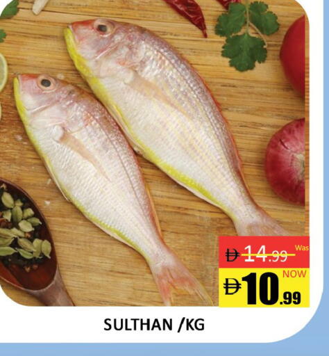 available at المدينة in الإمارات العربية المتحدة , الامارات - دبي