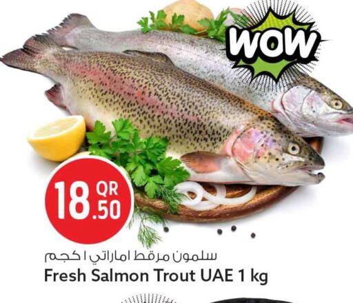 available at Safari Hypermarket in Qatar - Al Khor
