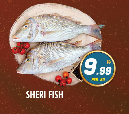 available at نايت تو نايت in الإمارات العربية المتحدة , الامارات - دبي