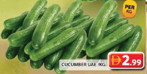 Cucumber available at Grand Hyper Market in UAE - Dubai