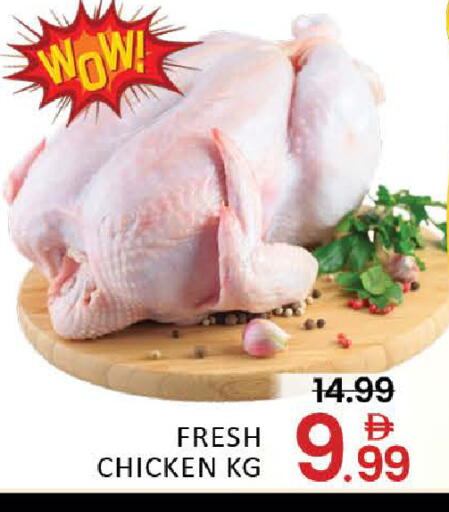 Mango available at مانجو هايبرماركت in الإمارات العربية المتحدة , الامارات - دبي