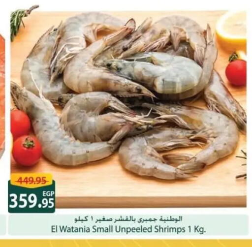 available at Spinneys  in Egypt - Cairo