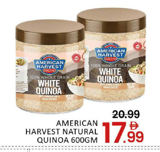 Mango available at مانجو هايبرماركت in الإمارات العربية المتحدة , الامارات - دبي