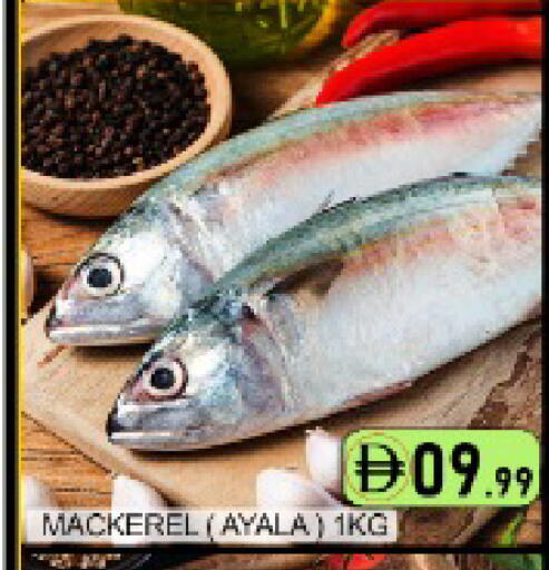 Mango available at مانجو هايبرماركت in الإمارات العربية المتحدة , الامارات - دبي