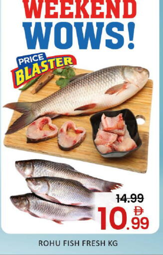 Mango available at مانجو هايبرماركت in الإمارات العربية المتحدة , الامارات - دبي