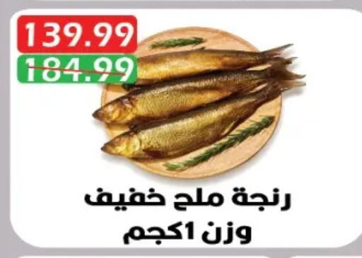 available at Euromarche in Egypt - Cairo