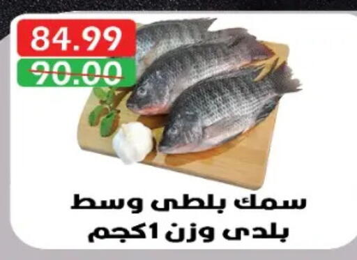 available at يورومارشيه in Egypt - القاهرة