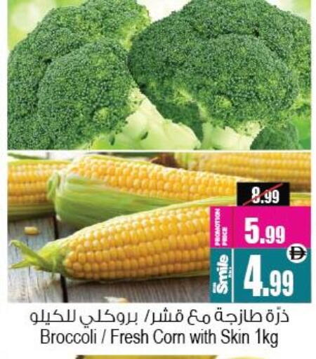 Broccoli available at أنصار مول in الإمارات العربية المتحدة , الامارات - الشارقة / عجمان