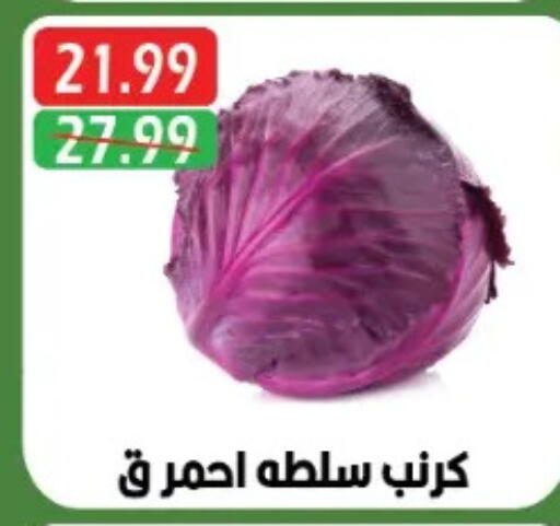 available at يورومارشيه in Egypt - القاهرة