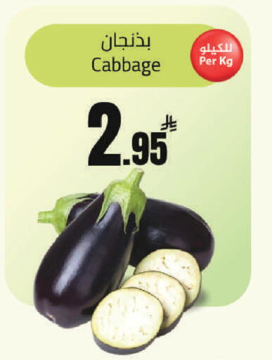 Cabbage available at مخازن هايبرماركت in مملكة العربية السعودية, السعودية, سعودية - تبوك