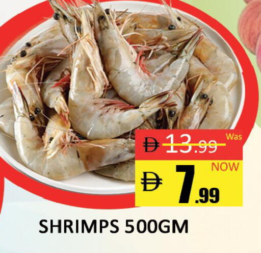 available at المدينة in الإمارات العربية المتحدة , الامارات - دبي