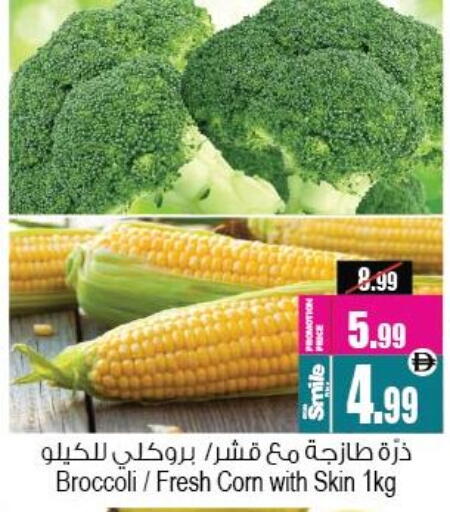 Broccoli available at أنصار جاليري in الإمارات العربية المتحدة , الامارات - دبي