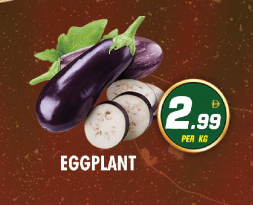 Eggplant available at نايت تو نايت in الإمارات العربية المتحدة , الامارات - دبي