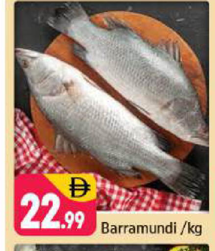 available at شكلان ماركت in الإمارات العربية المتحدة , الامارات - دبي