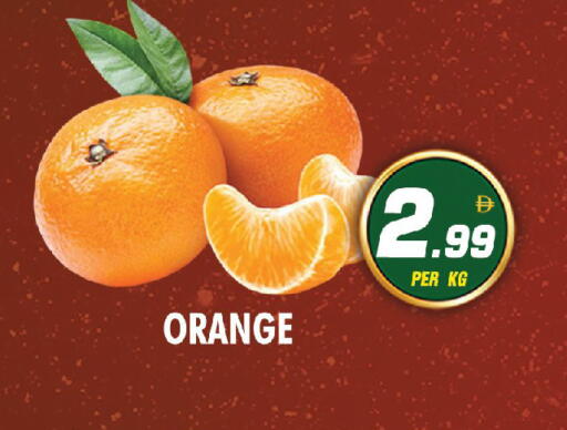 Orange available at نايت تو نايت in الإمارات العربية المتحدة , الامارات - دبي