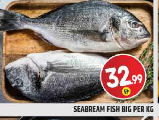 available at بيج مارت in الإمارات العربية المتحدة , الامارات - دبي